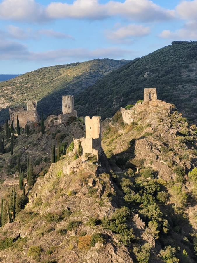 3 Star Surdespine Historic 4 Chateaux Lastours Air Conditioned 외부 사진