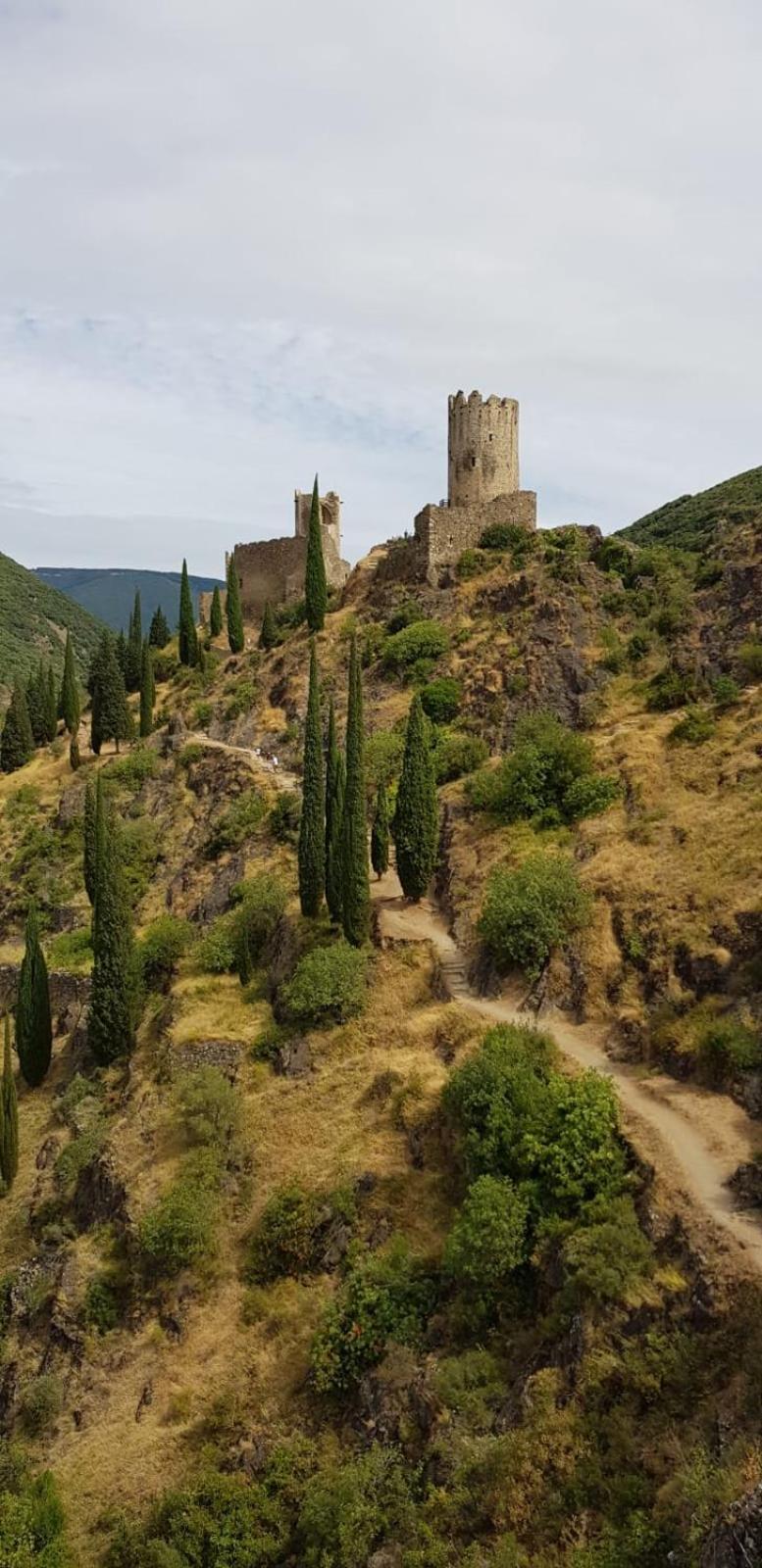 3 Star Surdespine Historic 4 Chateaux Lastours Air Conditioned 외부 사진